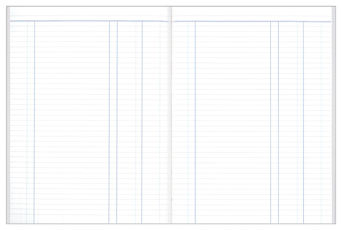 Collins Account Book Series A24 - Journal