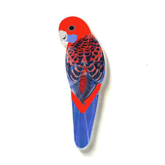 Crimson Rosella Pin By Smyle Designs