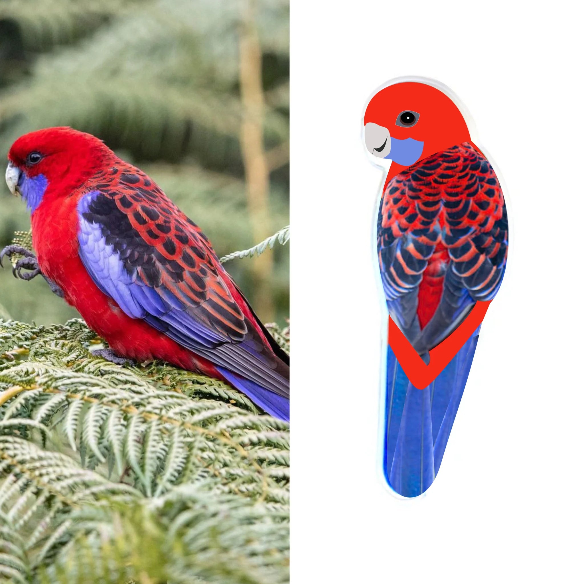 Crimson Rosella Pin By Smyle Designs