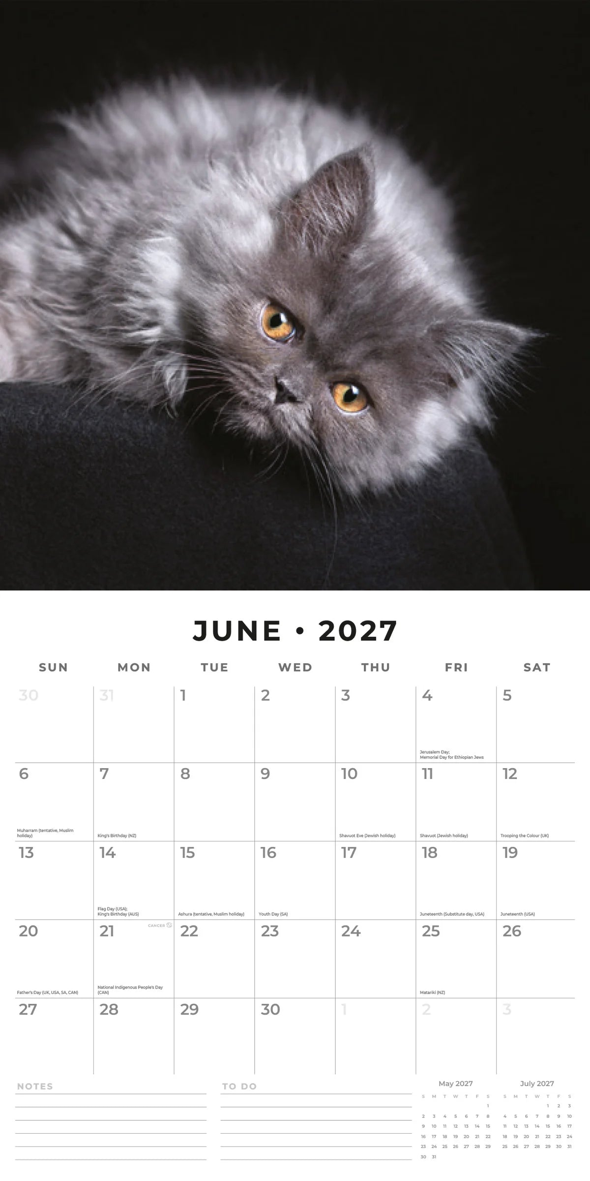 Cute Kittens 2027 Calendar – lifestyle flat lay with coffee, succulent and notebook on marble surface