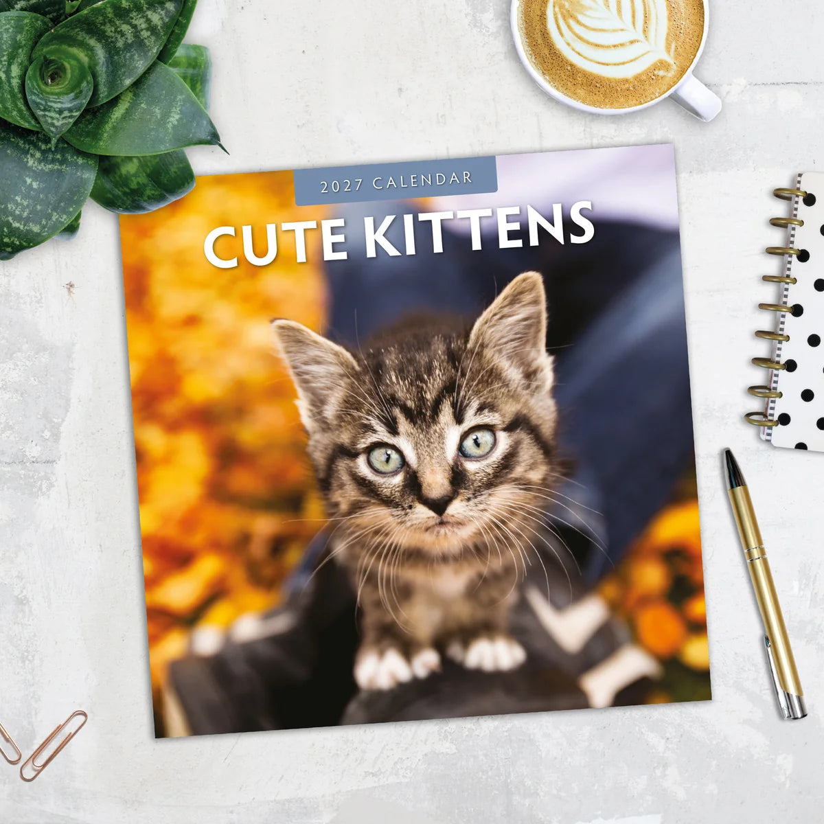 Cute Kittens 2027 Calendar – June 2027 monthly page featuring a fluffy grey kitten with amber eyes