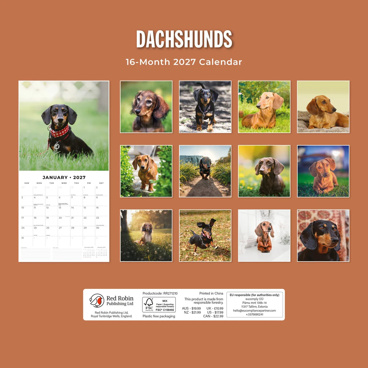 Dachshunds 2027 Calendar - Back cover showing all 16 monthly Dachshund photos on terracotta background, product code RR271210, AUS $19.99