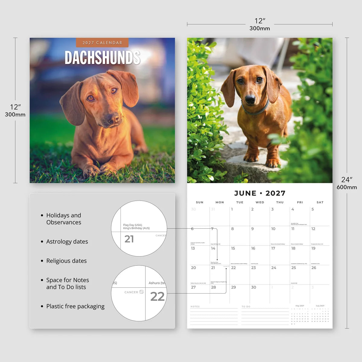 Dachshunds 2027 Calendar - Size specifications showing 30x30cm closed and 30x60cm open with feature highlights
