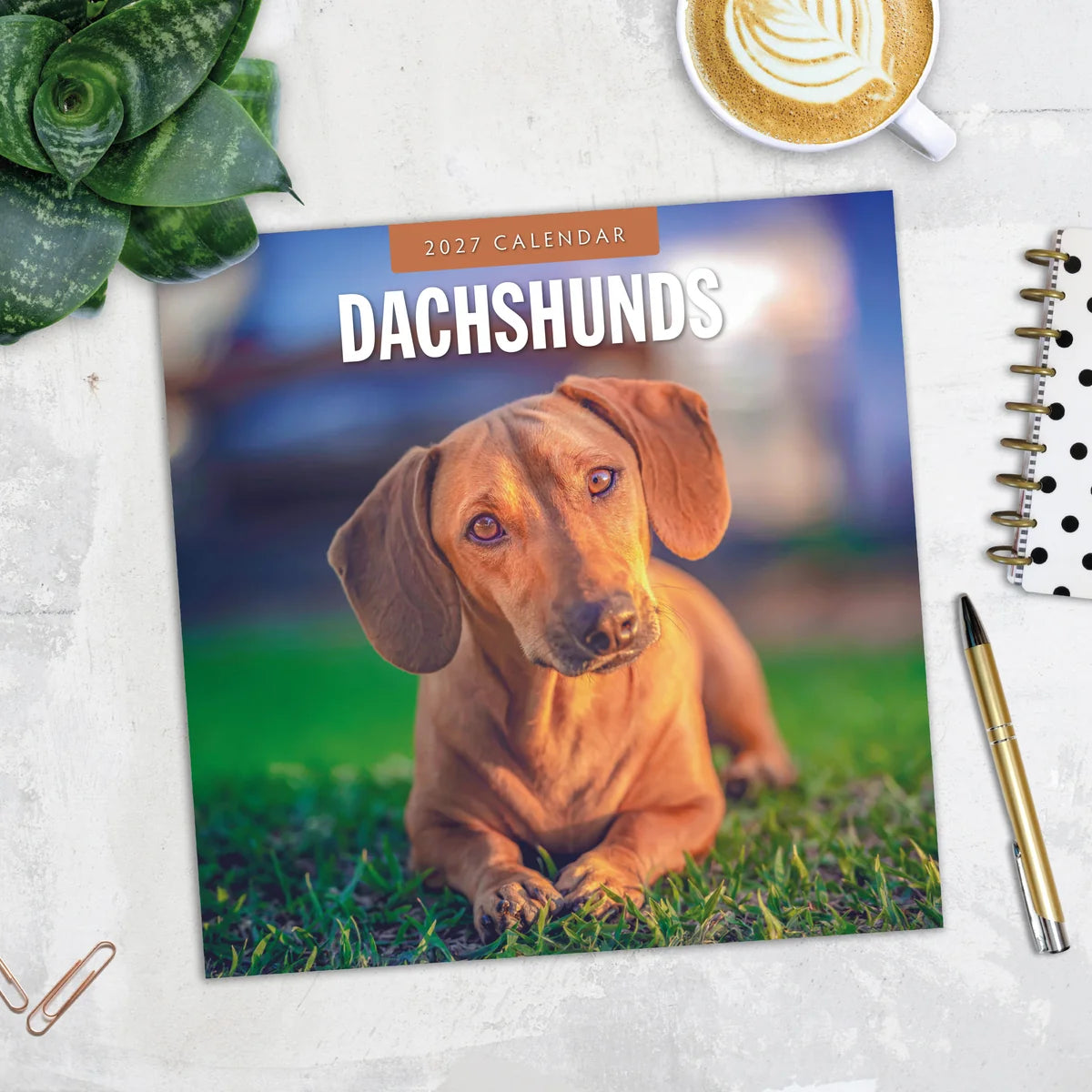 Dachshunds 2027 Square Wall Calendar - Lifestyle flat lay with coffee, succulent and stationery on marble surface
