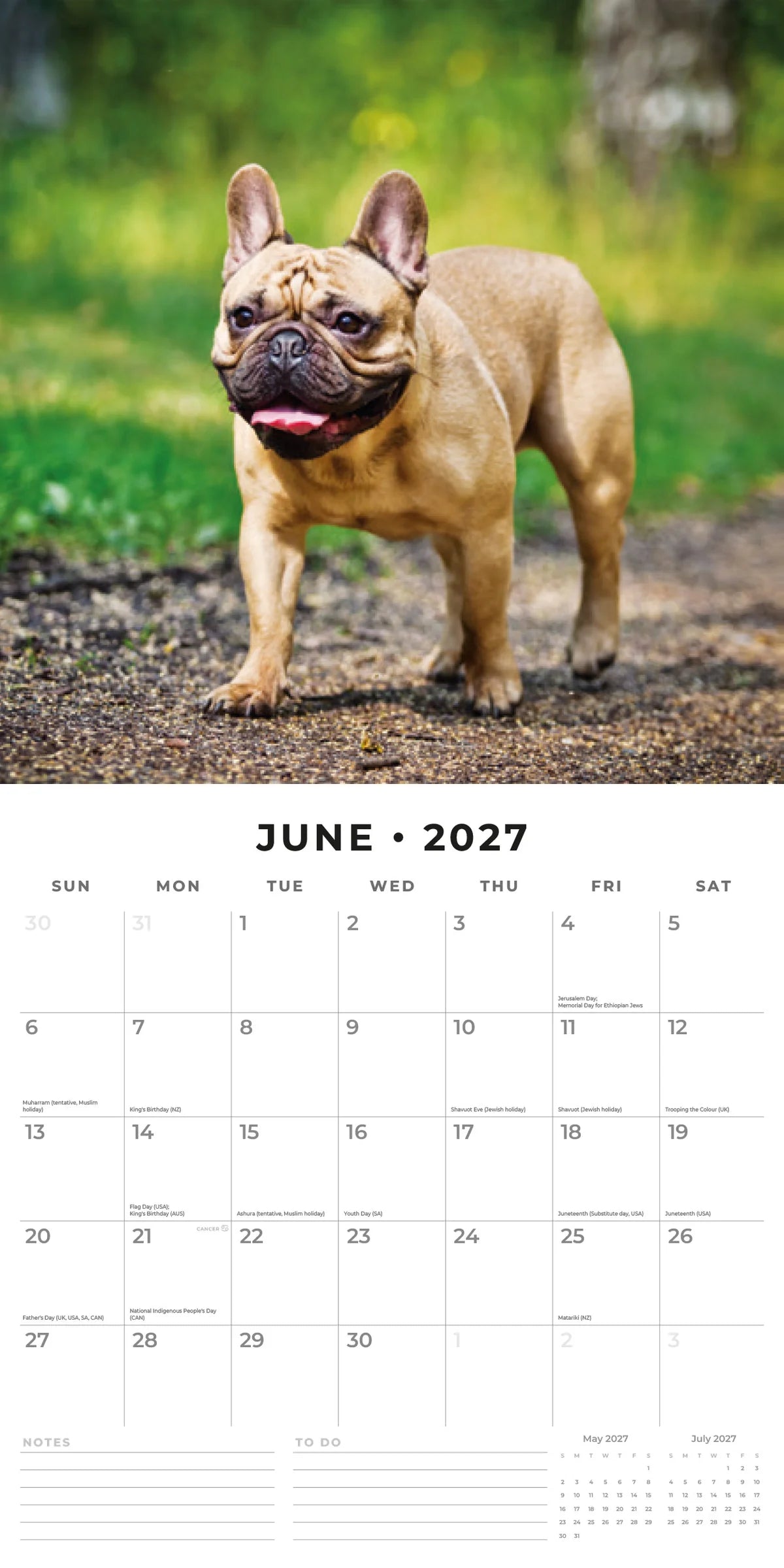French Bulldogs 2027 Calendar - June 2027 monthly spread featuring a fawn French Bulldog standing on a dirt path in a park