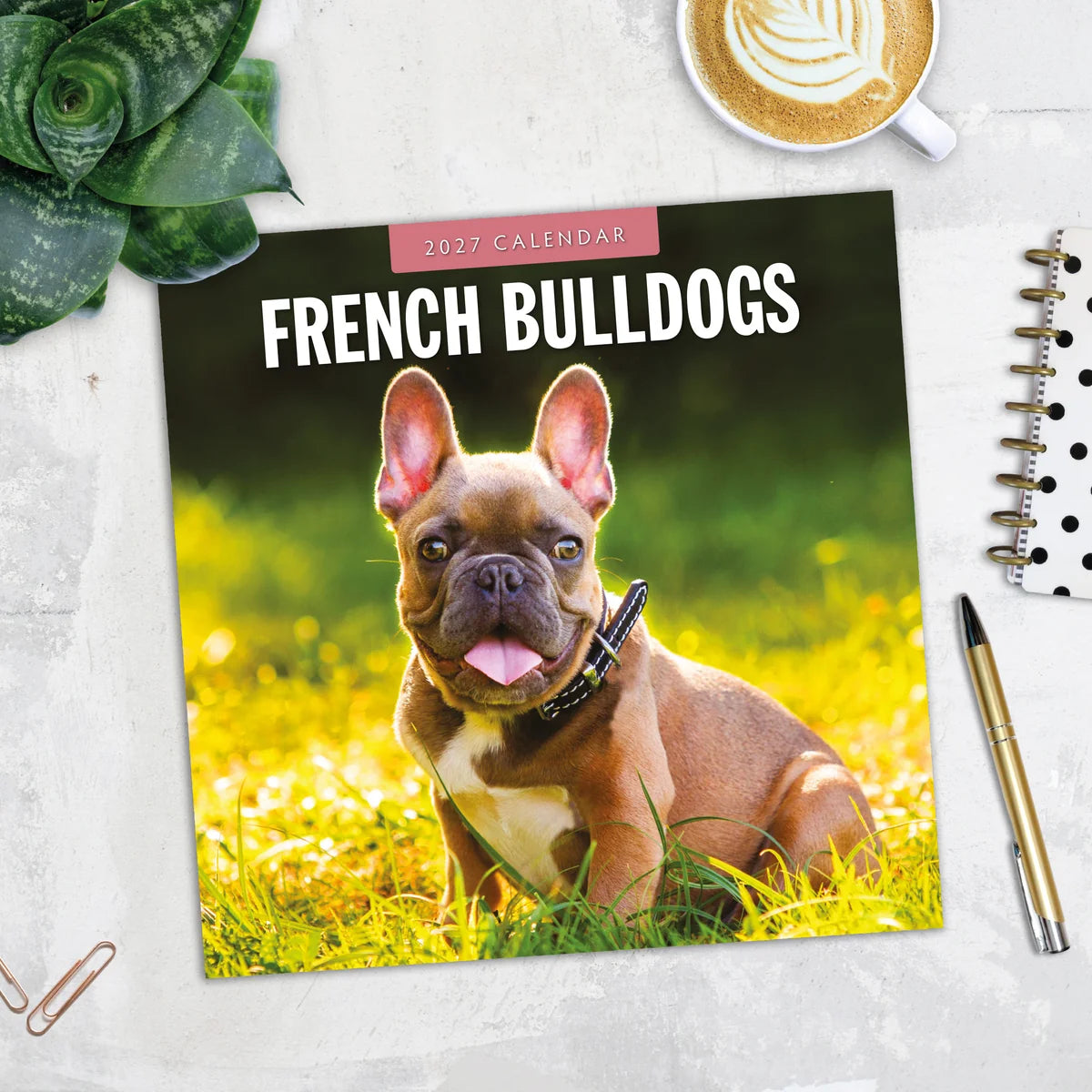 French Bulldogs 2027 Square Wall Calendar - Lifestyle flat lay with coffee, succulent and stationery on marble surface