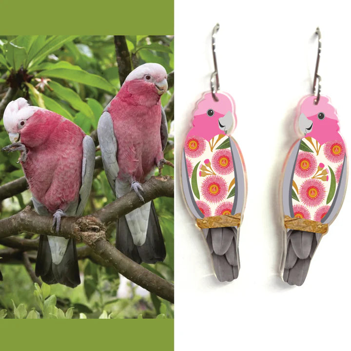 Galah Earrings by Smyle Designs