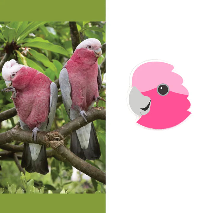 Galah Studs by Smyle Designs