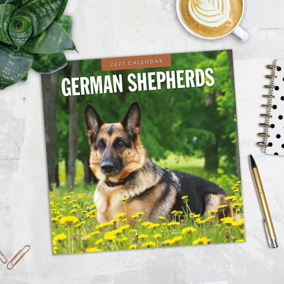 German Shepherds 2027 Square Wall Calendar - Lifestyle flat lay with coffee, succulent and stationery on marble surface