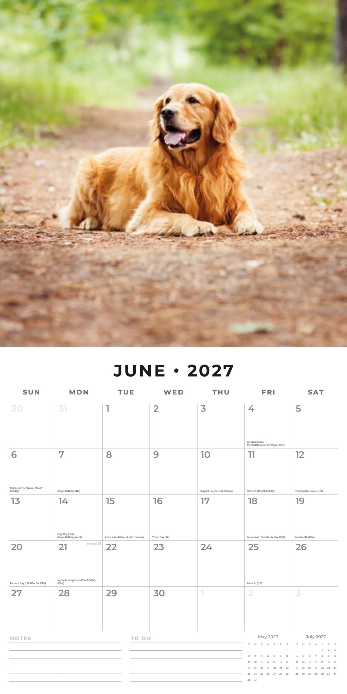 Golden Retrievers 2027 Calendar - June 2027 monthly spread featuring a golden retriever lying on a woodland dirt path surrounded by green foliage