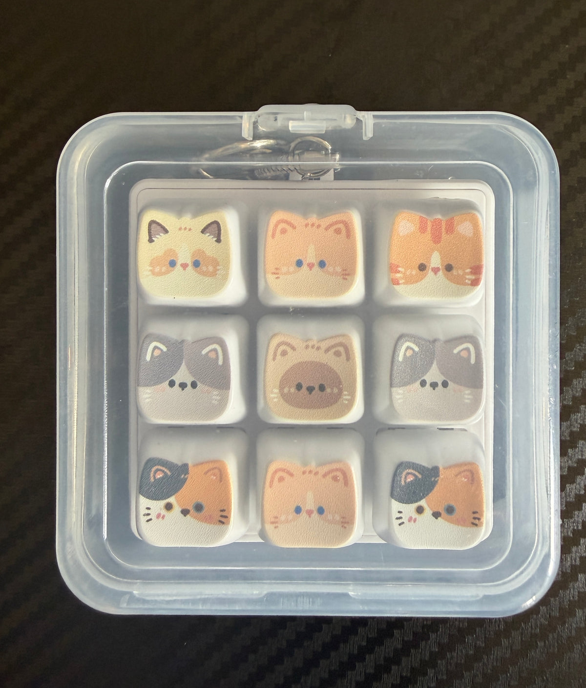 Black-cat keyboard clicker in a clear storage case
