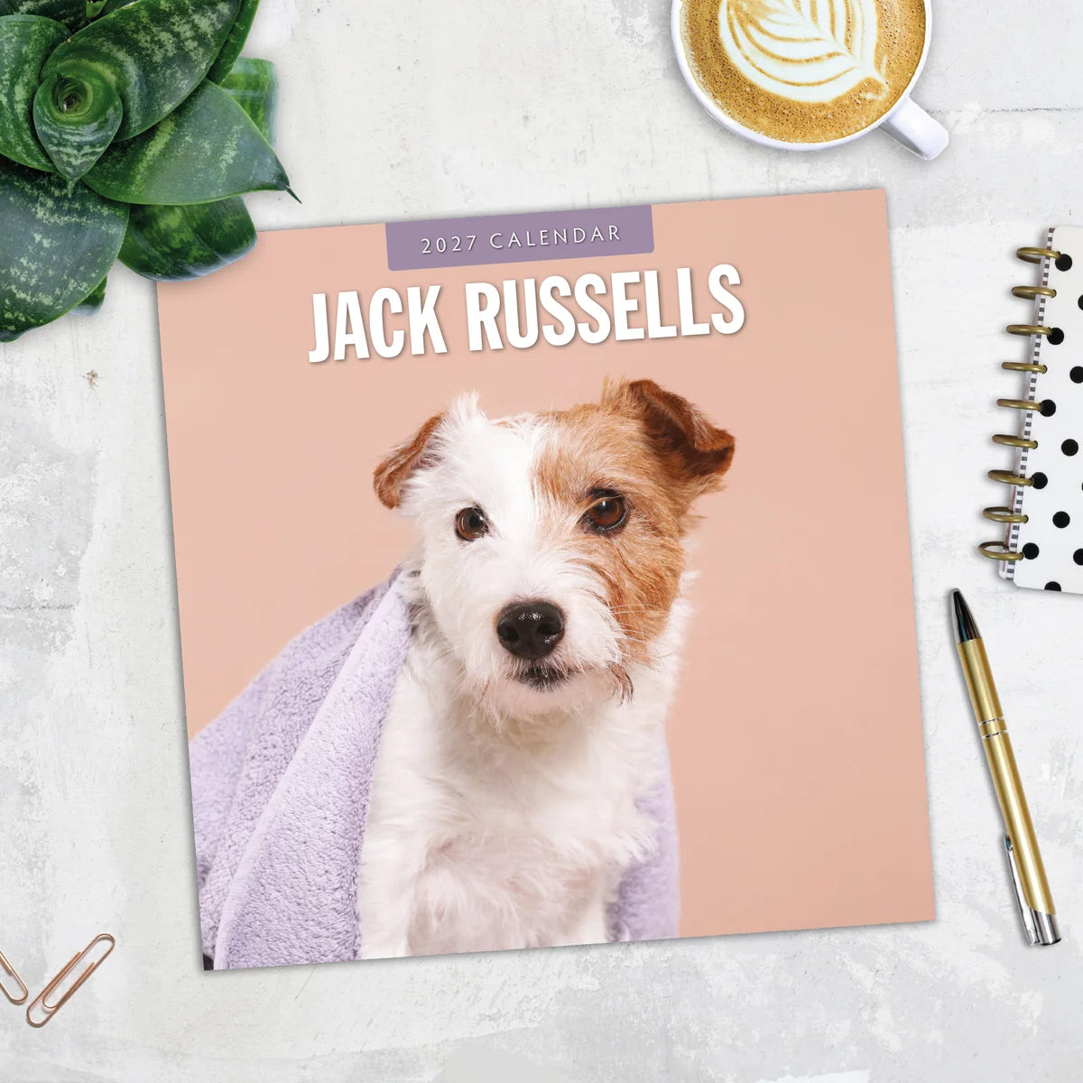 Jack Russells 2027 Square Wall Calendar - Lifestyle flat lay with coffee, succulent and stationery on marble surface