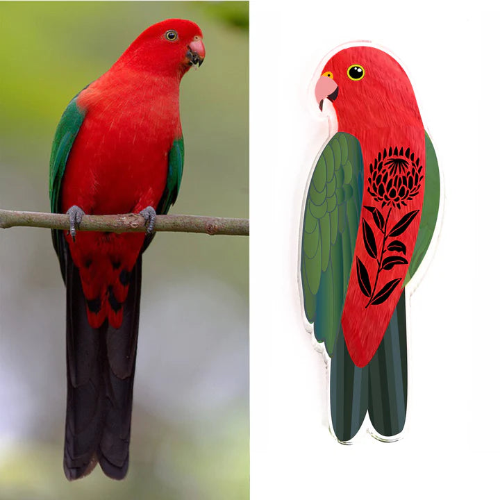 King Parrot Pin By Smyle Designs