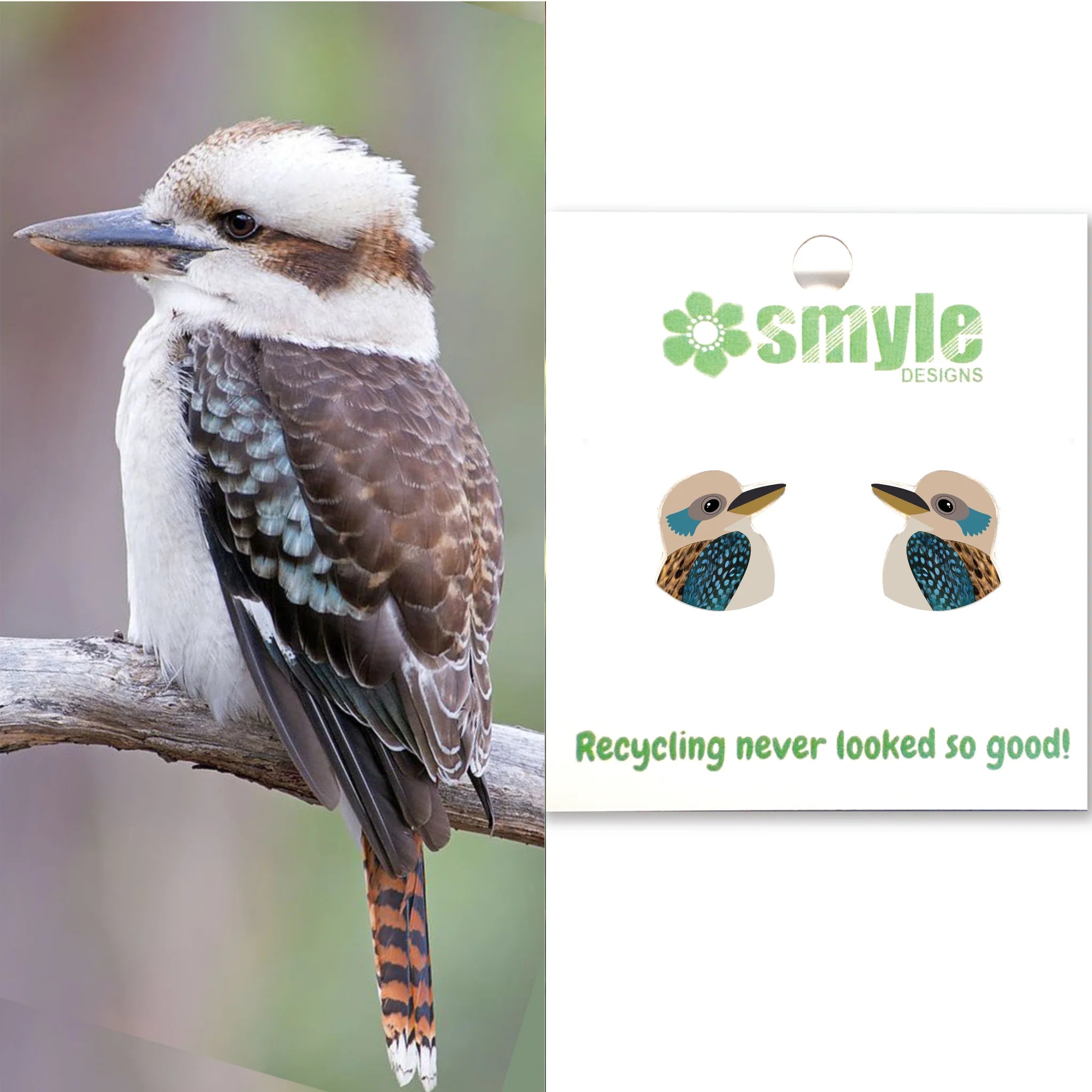 Kookaburra Studs By Smyle Designs