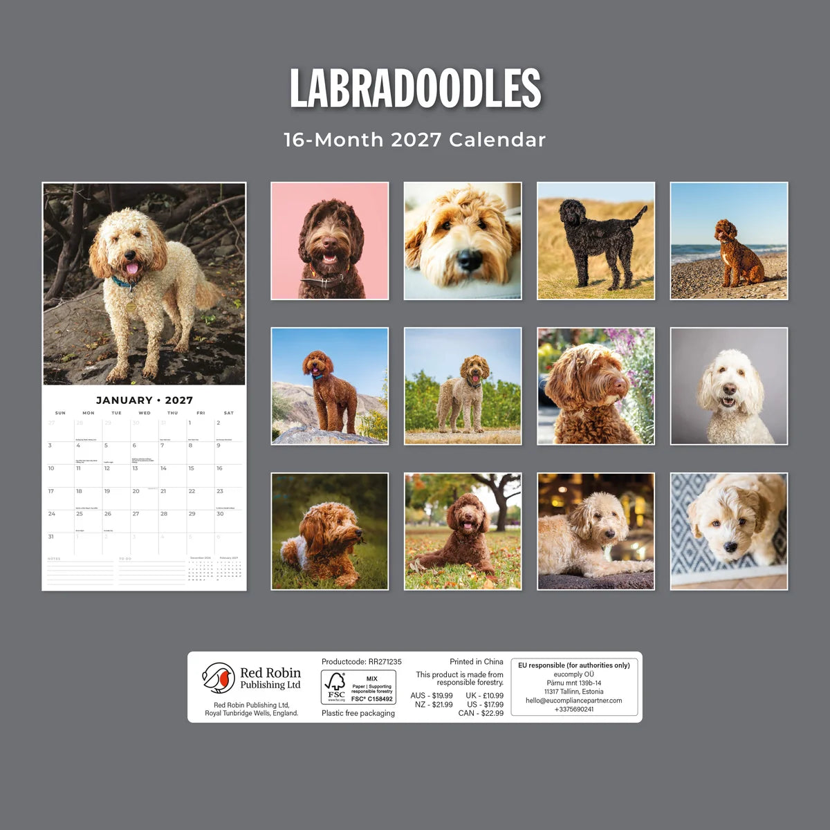 Labradoodles 2027 Calendar - Back cover showing all 16 monthly Labradoodle photos on grey background, product code RR271235, AUS $19.99