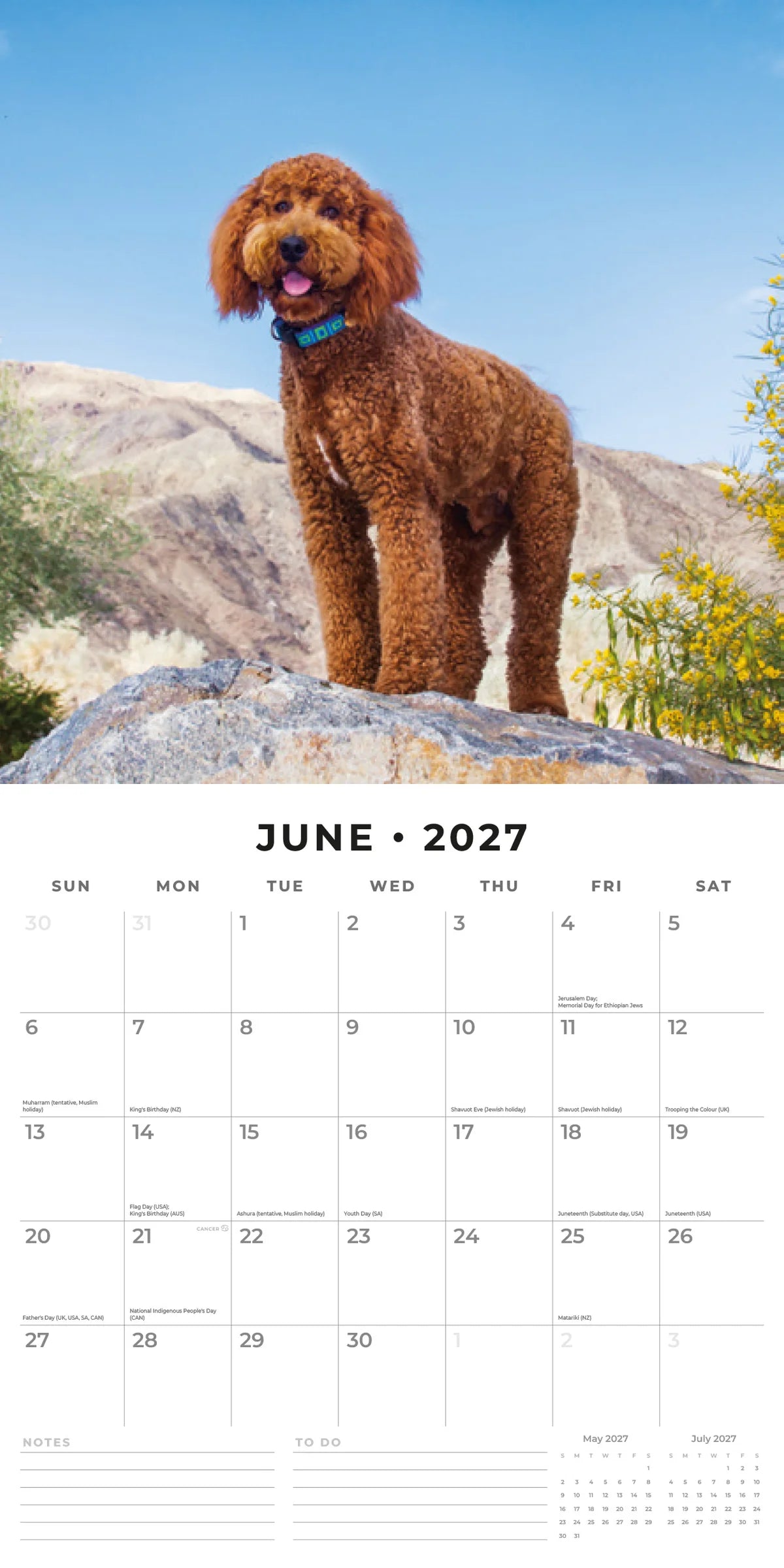 Labradoodles 2027 Calendar - June 2027 monthly spread featuring a chocolate Labradoodle standing on a rocky outcrop against a blue sky