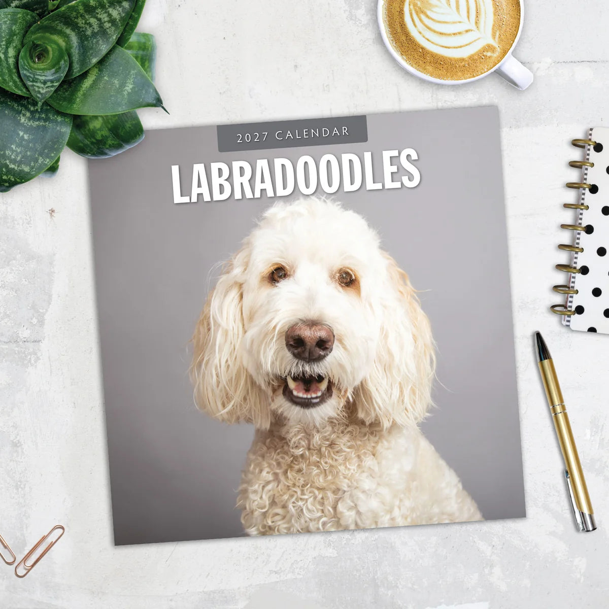 Labradoodles 2027 Square Wall Calendar - Lifestyle flat lay with coffee, succulent and stationery on marble surface