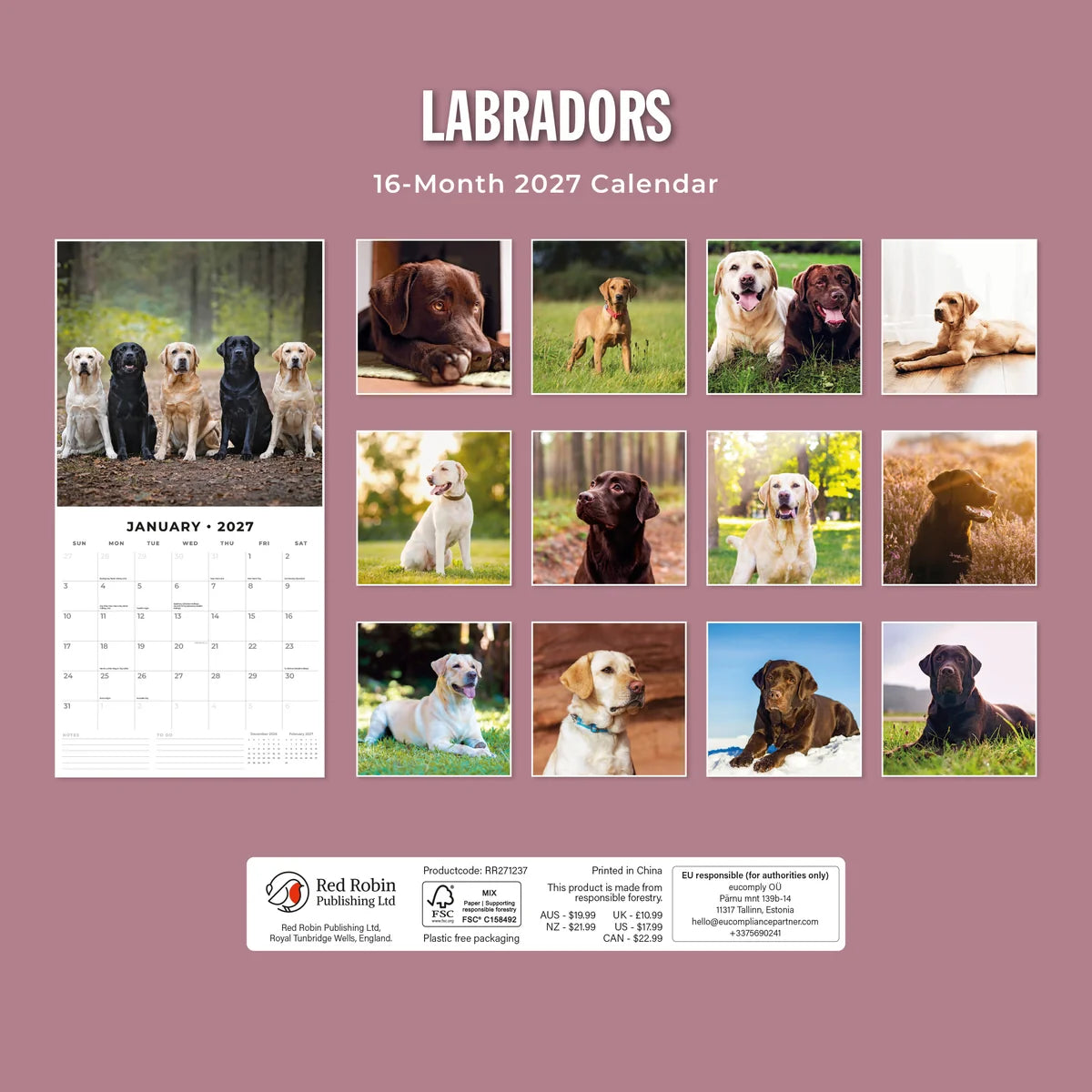 Labradors 2027 Calendar - Back cover showing all 16 monthly Labrador photos on mauve background, product code RR271237, AUS $19.99