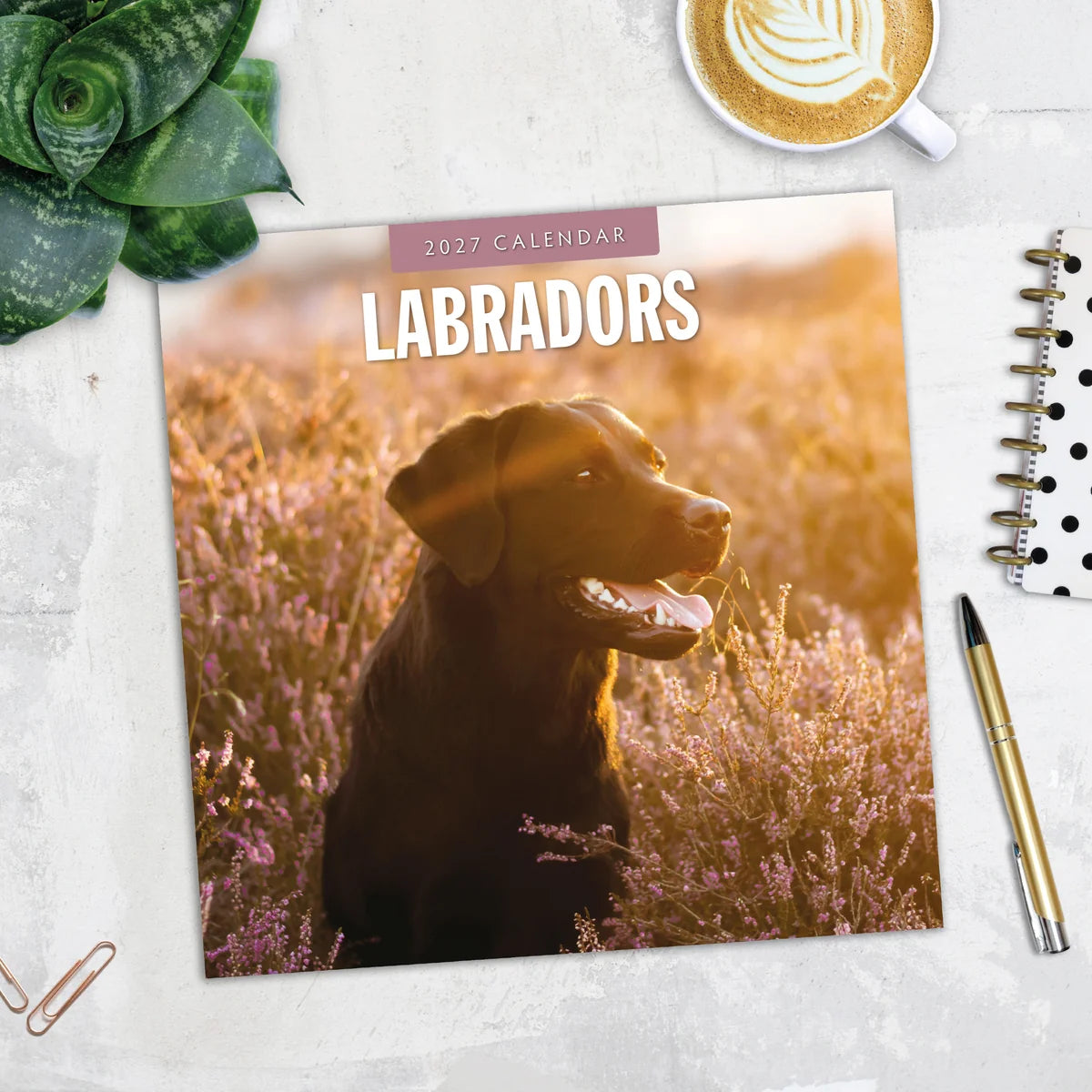 Labradors 2027 Square Wall Calendar - Lifestyle flat lay with coffee, succulent and stationery on marble surface