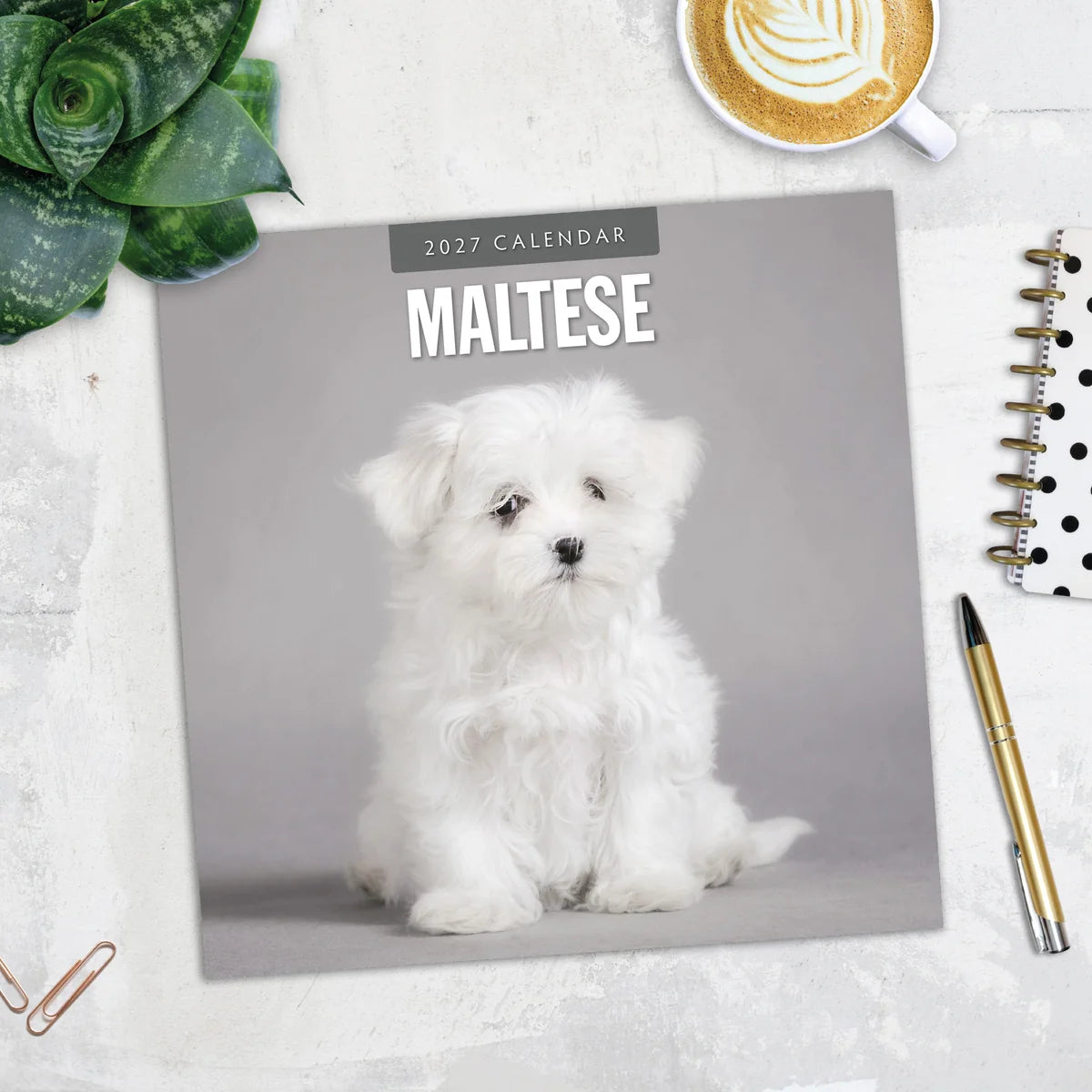 Maltese 2027 Square Wall Calendar - Lifestyle flat lay with coffee, succulent and stationery on marble surface