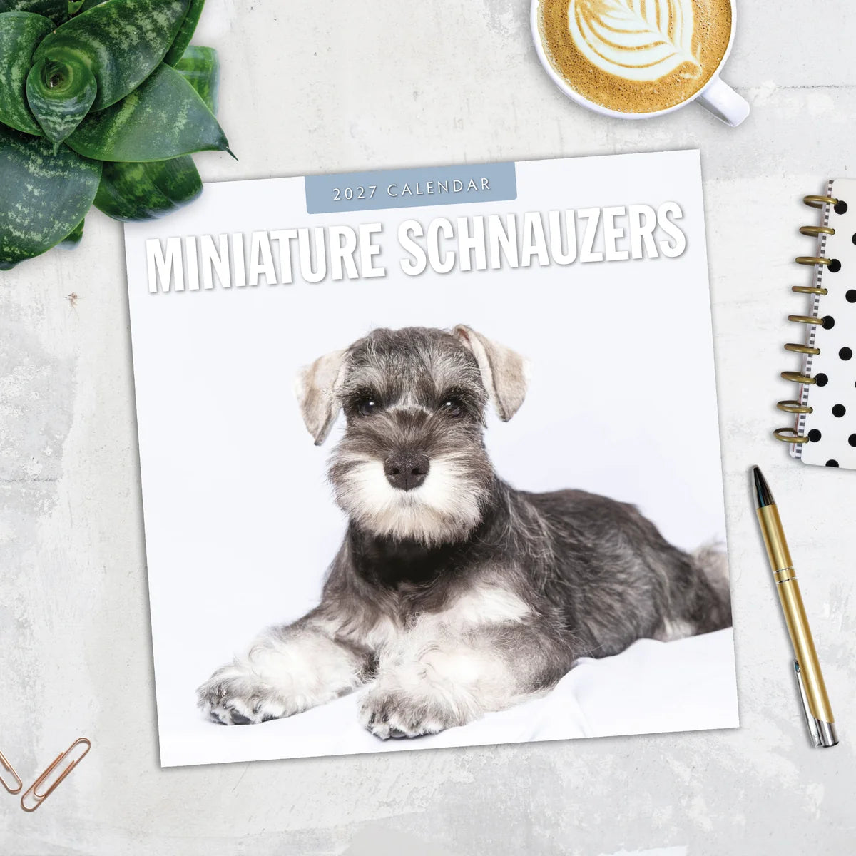 Miniature Schnauzers 2027 Square Wall Calendar - Lifestyle flat lay with coffee, succulent and stationery on marble surface