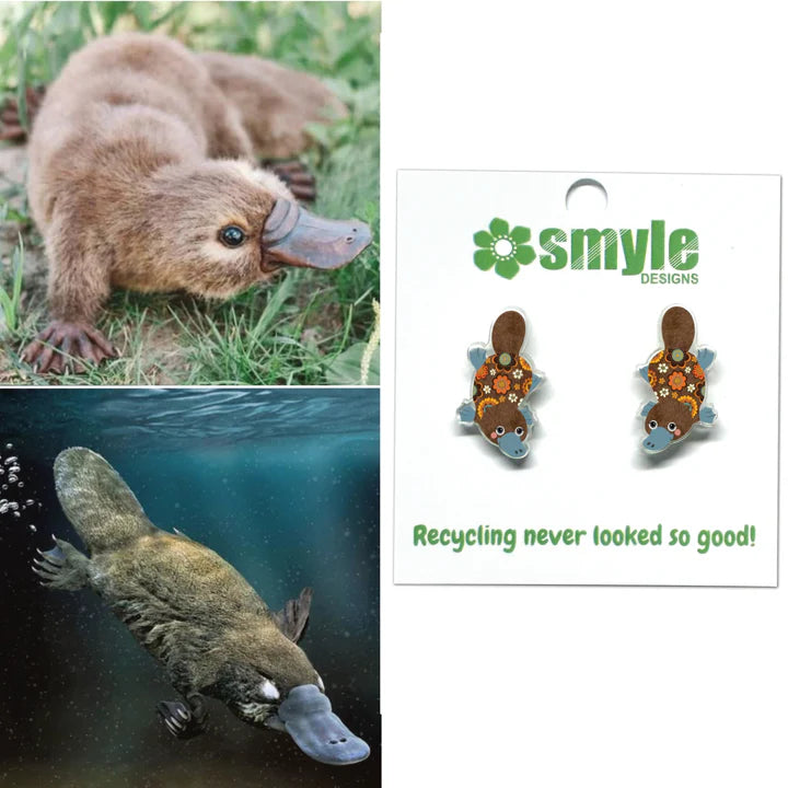 Platypus Studs by Smyle Designs