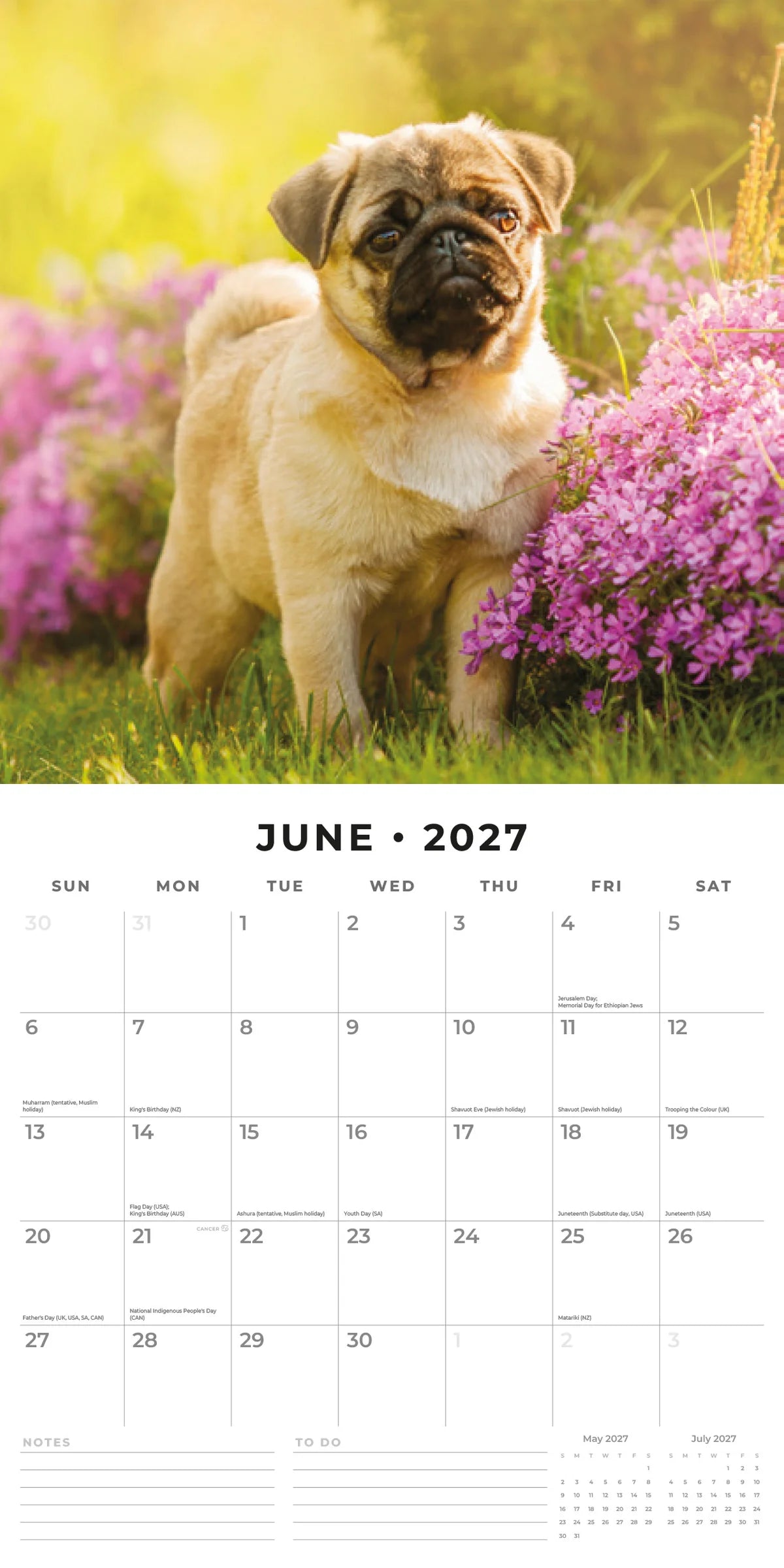 Pugs 2027 Calendar - June 2027 monthly spread featuring a fawn Pug puppy standing among purple phlox flowers in golden sunlight