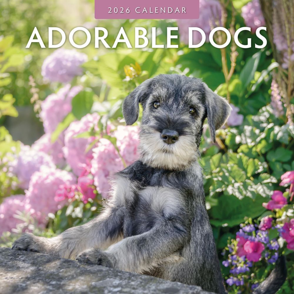 Adorable Dogs - 2026 Red Robin Square Wall Calendar Monthly Planner RR261002