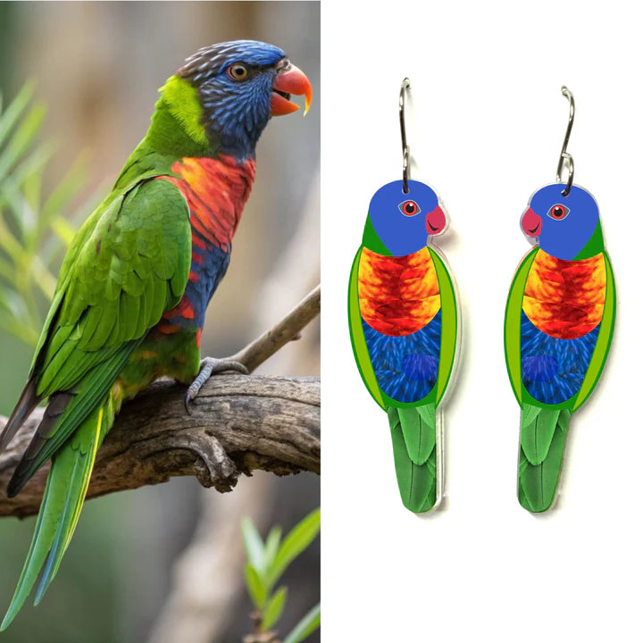 Rainbow Lorikeet Earrings by Smyle Designs