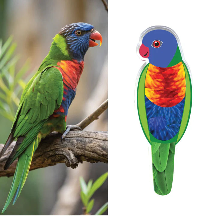 Rainbow Lorikeet Pin by Smyle Designs