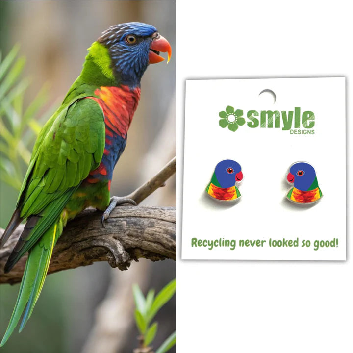 Rainbow Lorikeet Studs by Smyle Designs