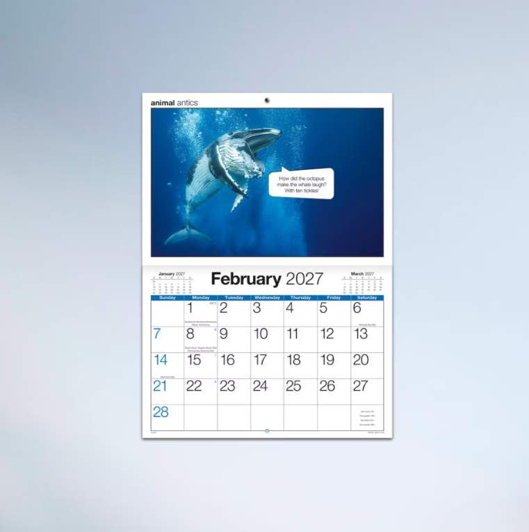 2027 Easy2c Animal Antics Booklet Calendar 297x205mm