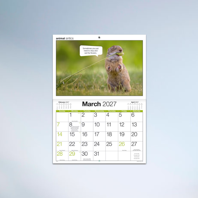 2027 Easy2c Animal Antics Booklet Calendar 297x205mm