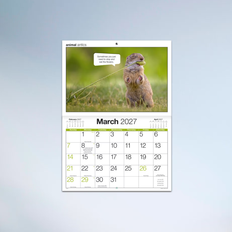 2027 Easy2c Animal Antics Booklet Calendar 297x205mm