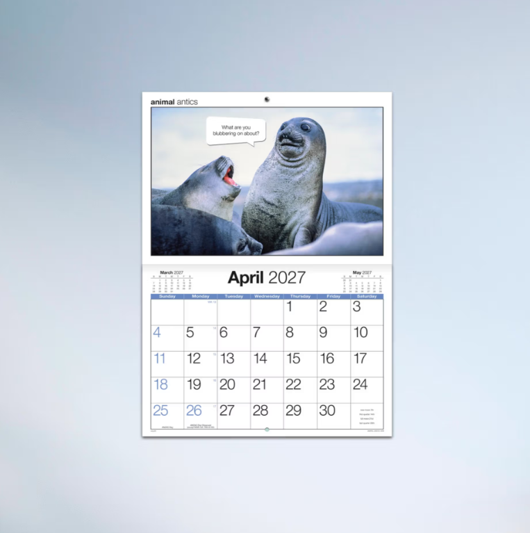 2027 Easy2c Animal Antics Booklet Calendar 297x205mm