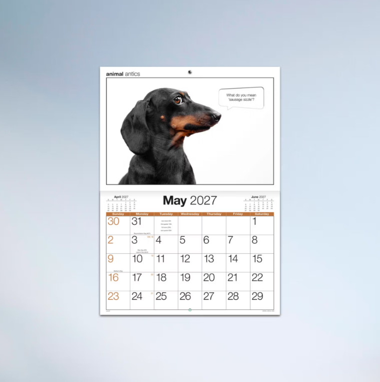 2027 Easy2c Animal Antics Booklet Calendar 297x205mm