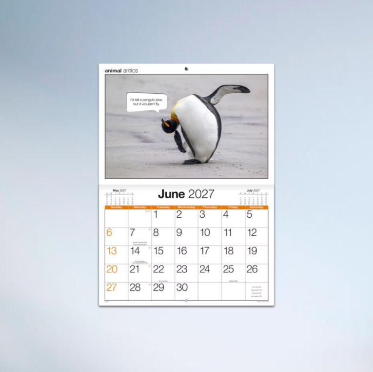 2027 Easy2c Animal Antics Booklet Calendar 297x205mm