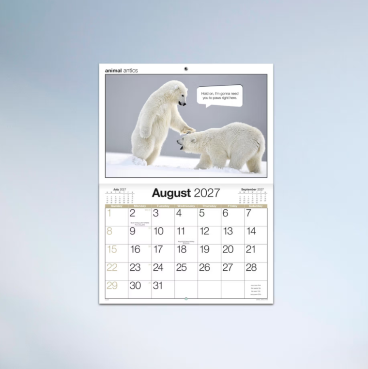 2027 Easy2c Animal Antics Booklet Calendar 297x205mm