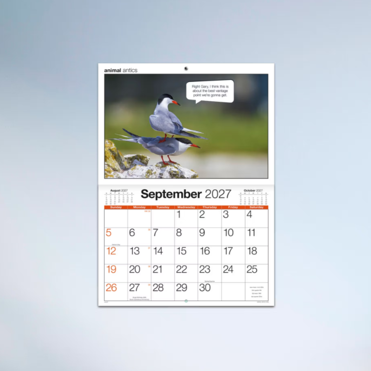 2027 Easy2c Animal Antics Booklet Calendar 297x205mm