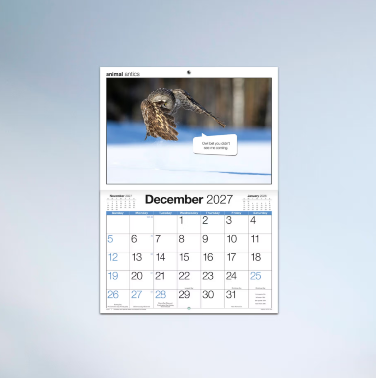 2027 Easy2c Animal Antics Booklet Calendar 297x205mm