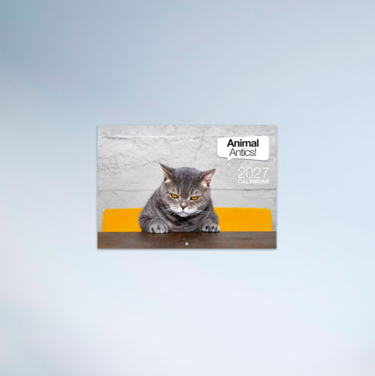 2027 Easy2c Animal Antics Booklet Calendar 297x205mm
