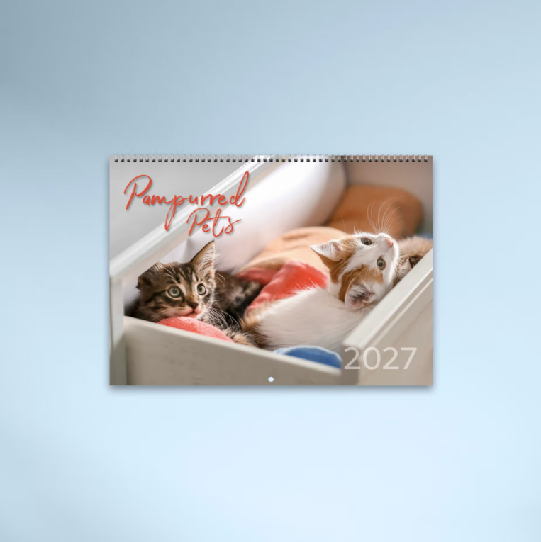 2027 Pampurred Pets Spiral Bound Calendar 337x240mm
