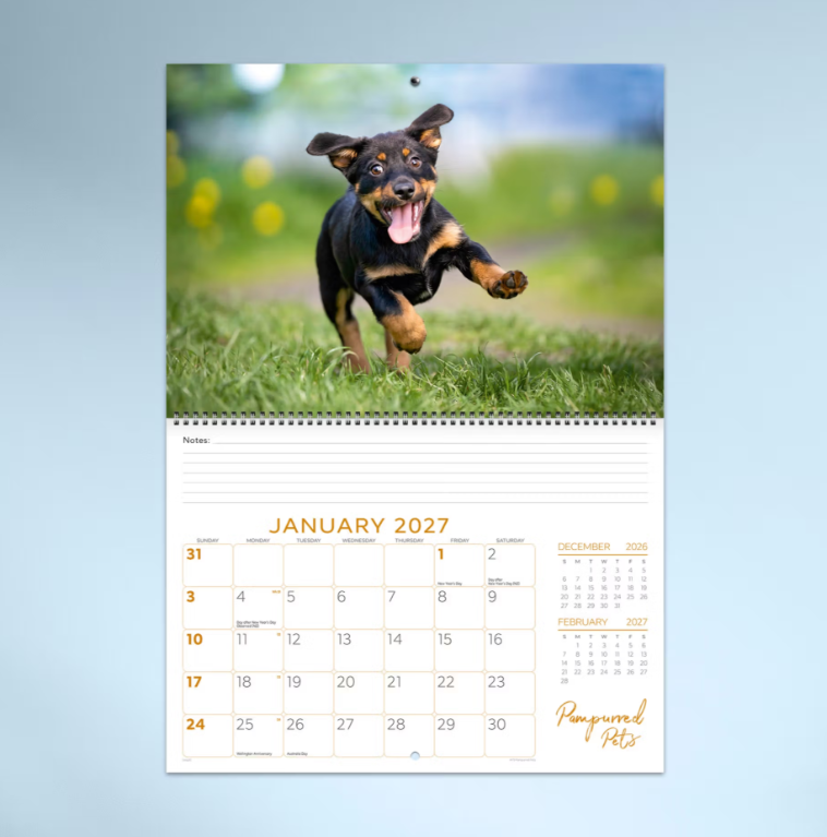 2027 Pampurred Pets Spiral Bound Calendar 337x240mm