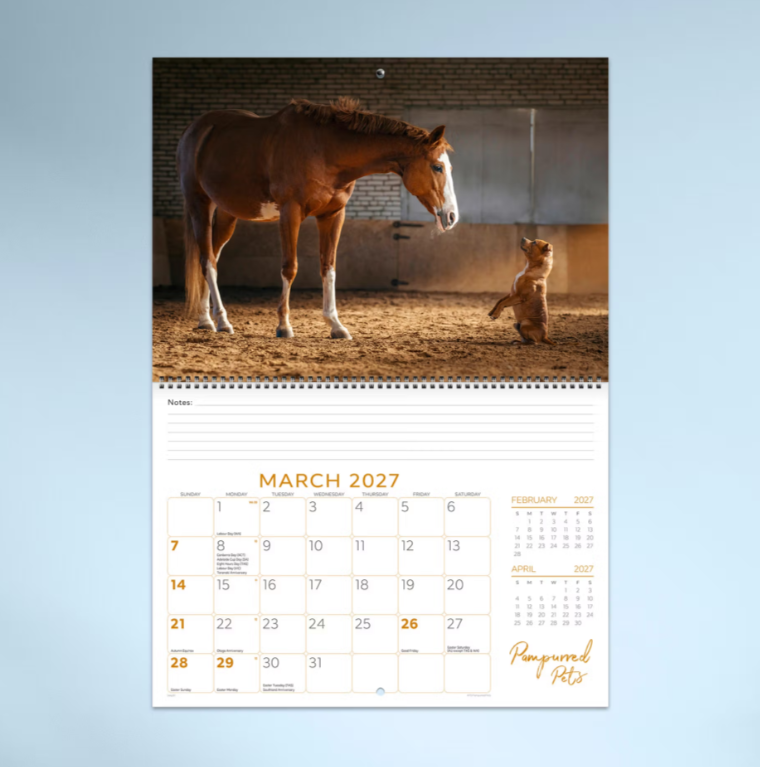 2027 Pampurred Pets Spiral Bound Calendar 337x240mm