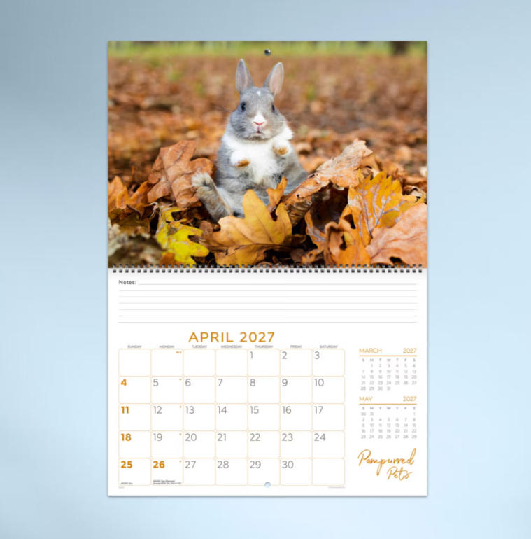 2027 Pampurred Pets Spiral Bound Calendar 337x240mm