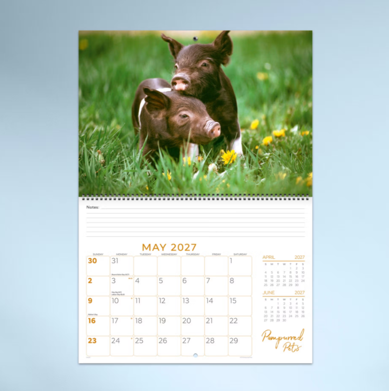 2027 Pampurred Pets Spiral Bound Calendar 337x240mm