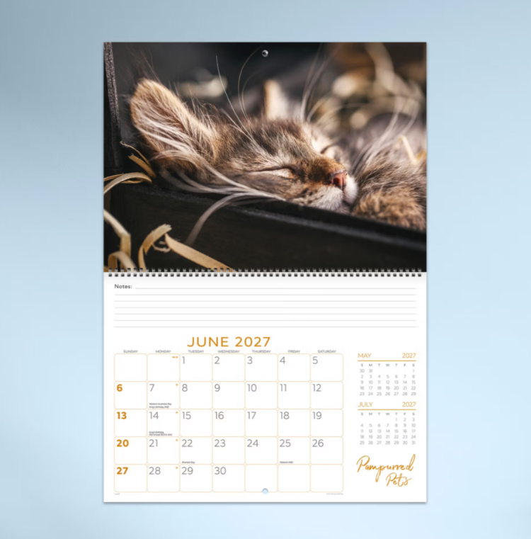 2027 Pampurred Pets Spiral Bound Calendar 337x240mm