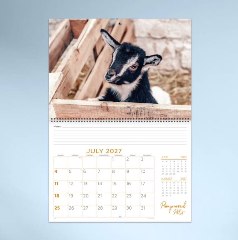 2027 Pampurred Pets Spiral Bound Calendar 337x240mm