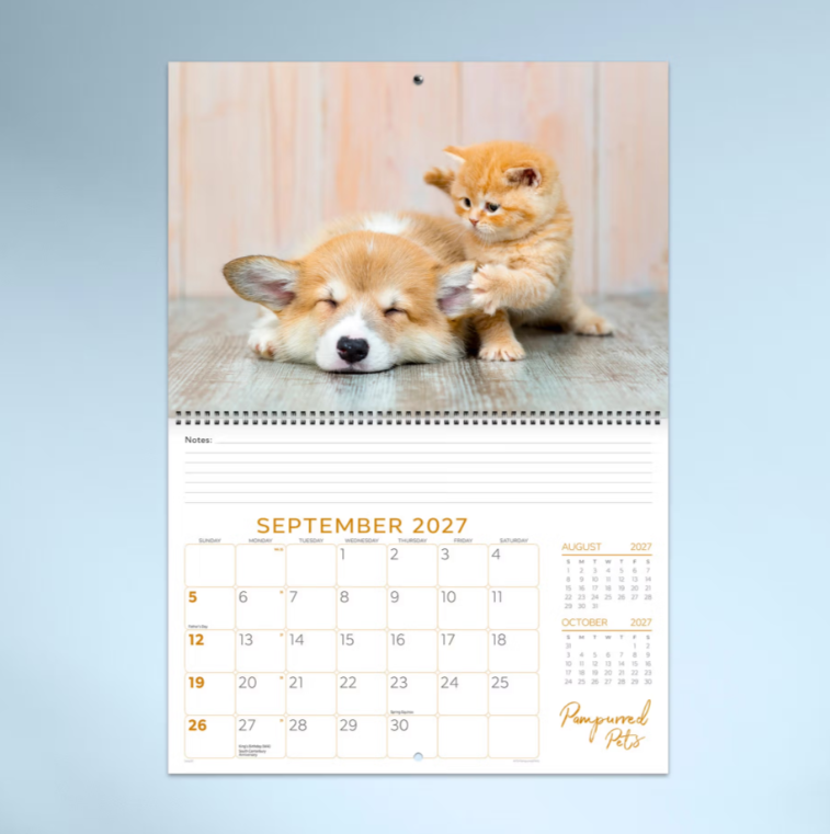 2027 Pampurred Pets Spiral Bound Calendar 337x240mm