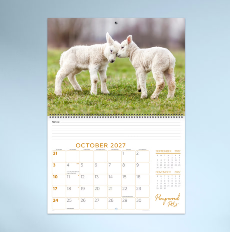 2027 Pampurred Pets Spiral Bound Calendar 337x240mm
